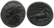 coin rev