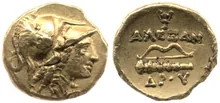 coin rev