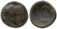 coin rev