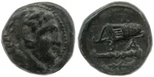 coin rev