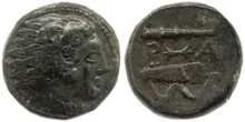 coin rev