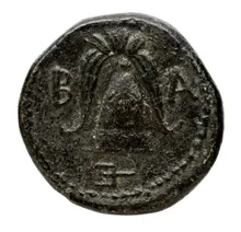 coin rev