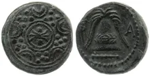coin rev