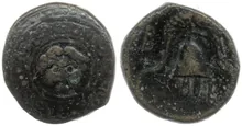 coin rev
