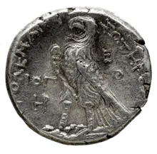 Птолемей III Эвергет rev