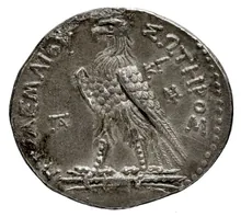 Птолемей III Эвергет rev