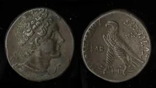 Птолемей VIII Эвергет rev