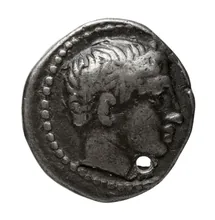 Птолемей III Эвергет obv