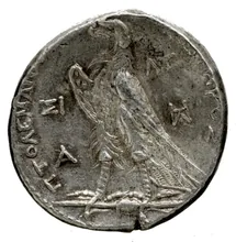 Ptolemy II Philadelphus rev