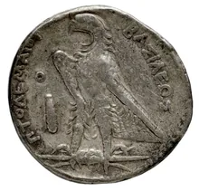 Ptolemy II Philadelphus rev