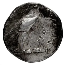 Ptolemy III Euergetes rev