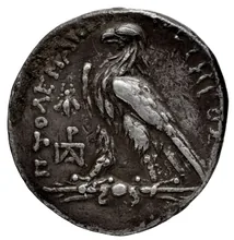 Ptolemy III Euergetes rev