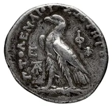Ptolemy III Euergetes rev