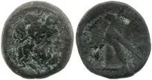 Птолемей VIII Эвергет rev