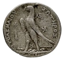 Ptolemy II Philadelphus rev