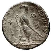 Ptolemy II Philadelphus rev