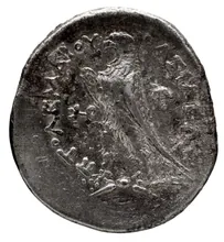 Ptolemy III Euergetes rev