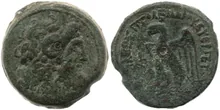 Птолемей VIII Эвергет rev