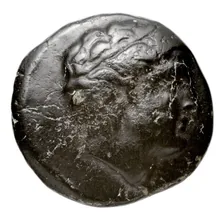 Ptolemy II Philadelphus obv