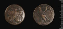 Птолемей III Эвергет obv