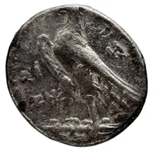 Птолемей III Эвергет rev