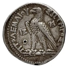 Птолемей III Эвергет rev
