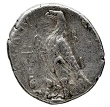 Птолемей III Эвергет rev