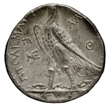 Ptolemy II Philadelphus rev