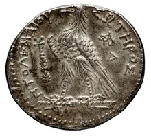 Ptolemy III Euergetes rev