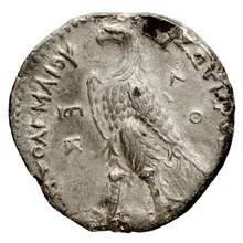 Ptolemy II Philadelphus rev