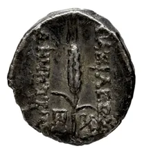 Деметрий II Никатор rev