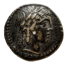 Деметрий II Никатор obv