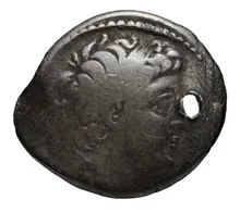 Деметрий II Никатор obv