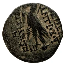 Антиох VIII Грип rev