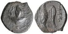 Yehud Medinata rev