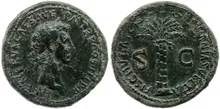 Нерва rev