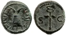 Нерва rev