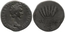 Нерва rev