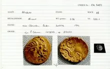coin rev