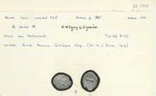 Iceni rev