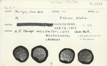 coin rev