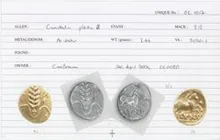 Trinovantes rev