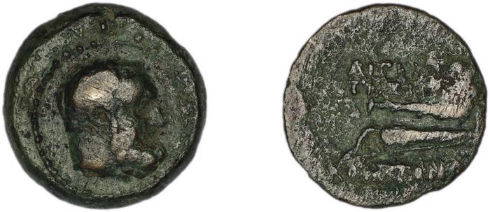 coin rev
