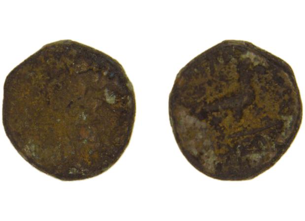 реверс Blaundus BMC Blaundus 29
