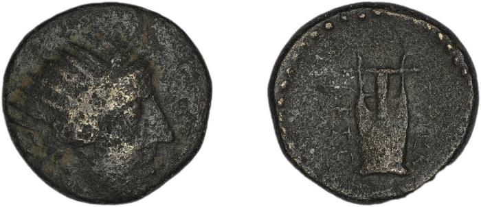 реверс Halicarnassus BMC Halicarnassus 58-61
