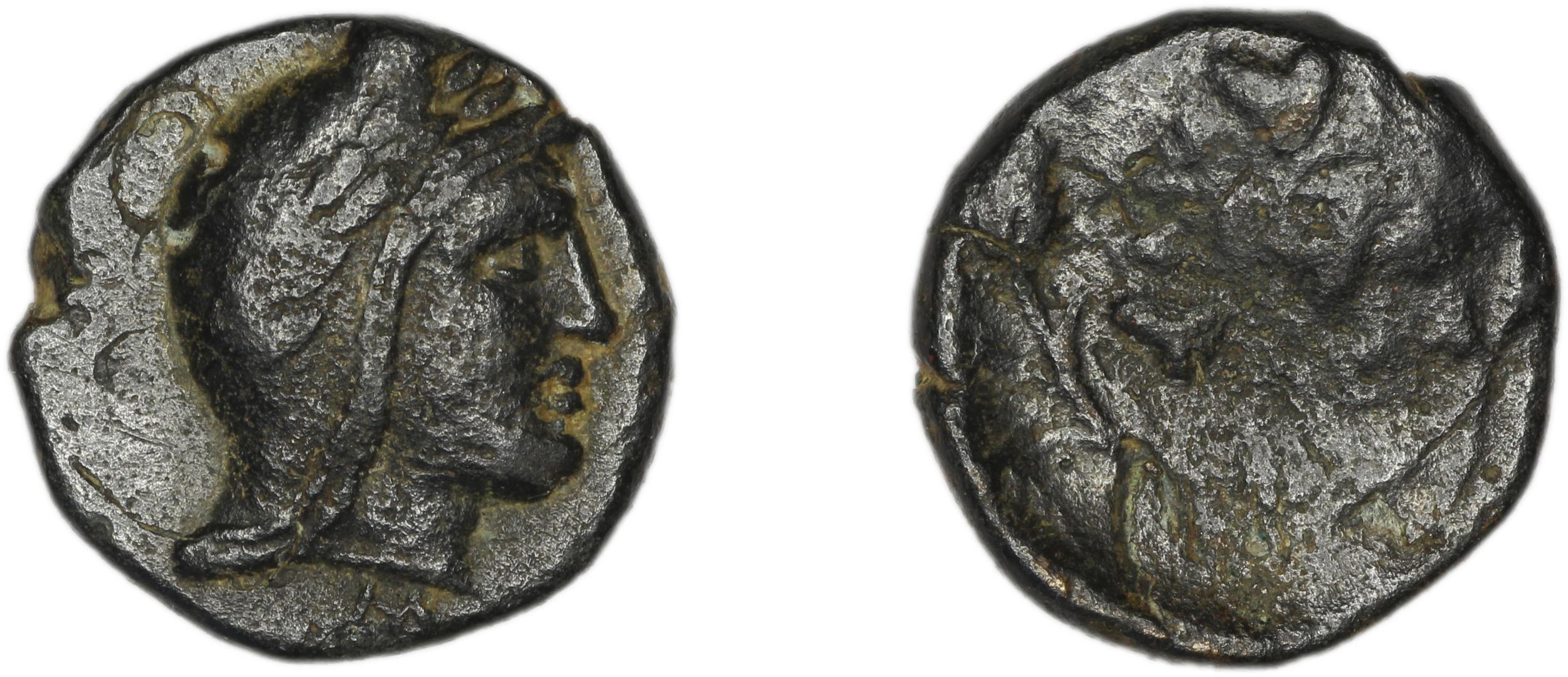 Cius Waddington 1908 7-11, аверс, bm