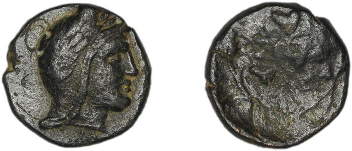Cius Waddington 1908 7-11, реверс, bm