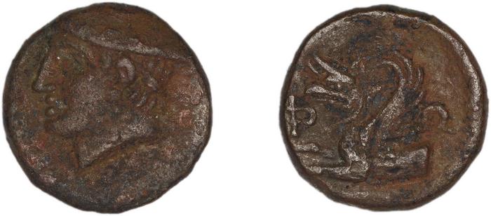 Phocaea BMC Phocaea 101-2, реверс, bm