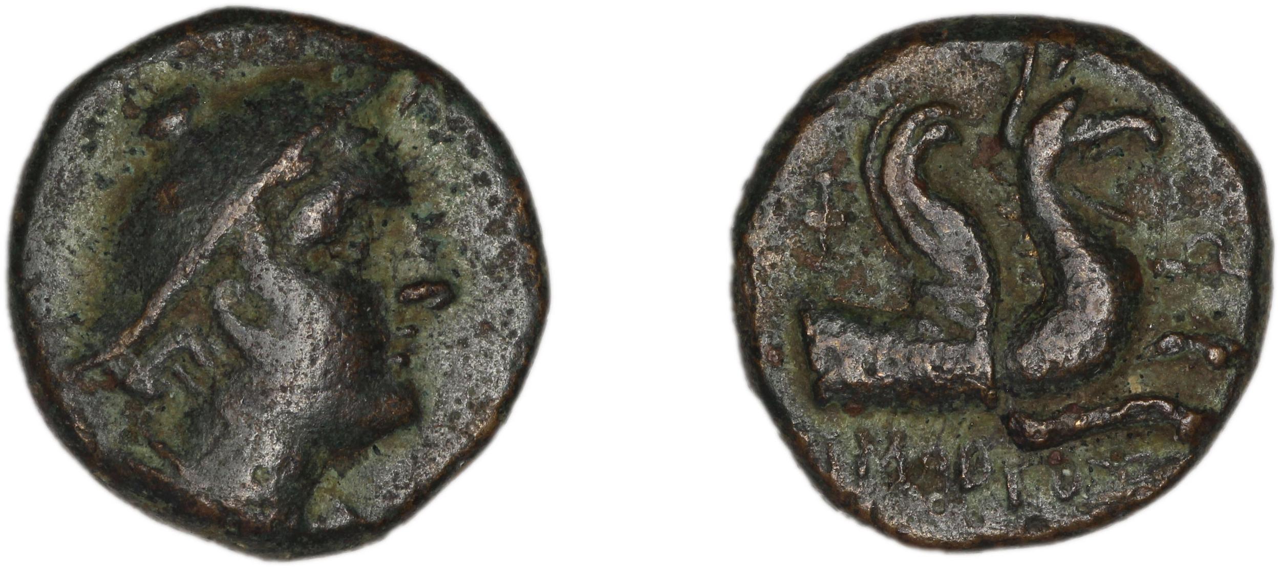 Phocaea BMC Phocaea 103-8, аверс, bm