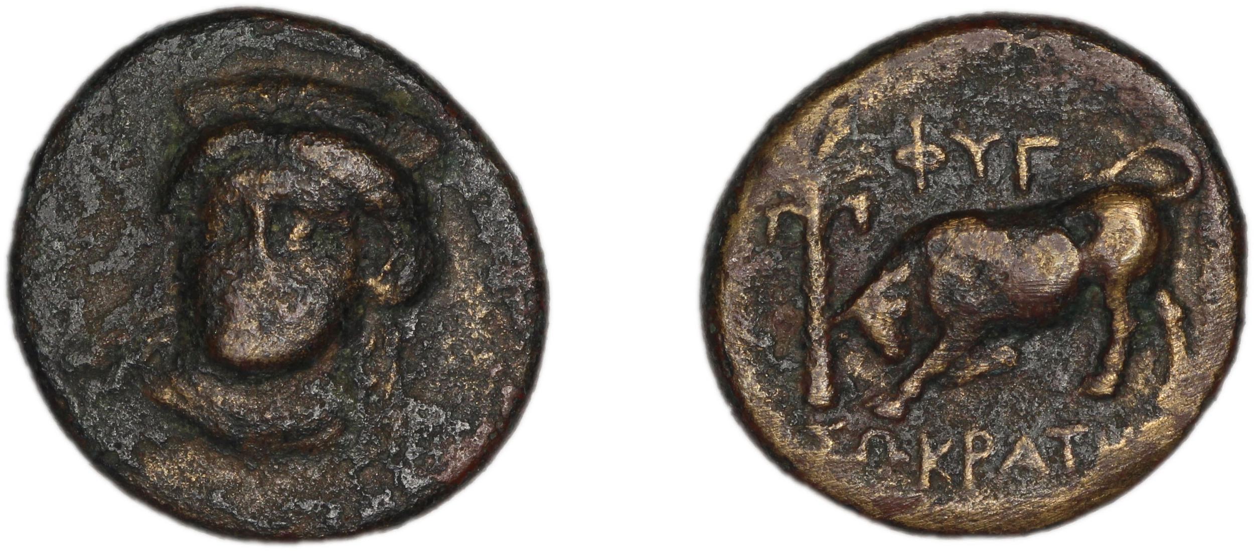 Phygela Regling 1922 Group IV, аверс, bm